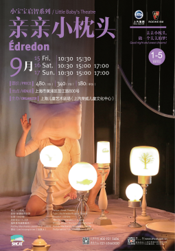 小宝宝启智系列《亲亲小枕头》